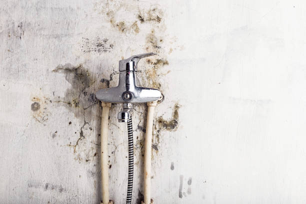 Home Mold Removal in St Stephens, NC