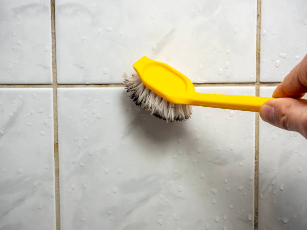 Best Commercial Mold Removal  in St Stephens, NC