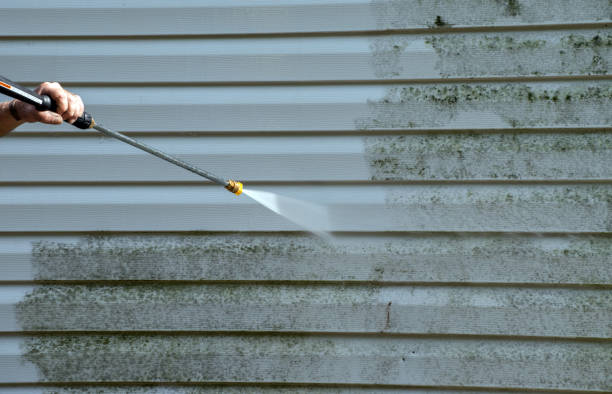 Best Mold Removal Process  in St Stephens, NC