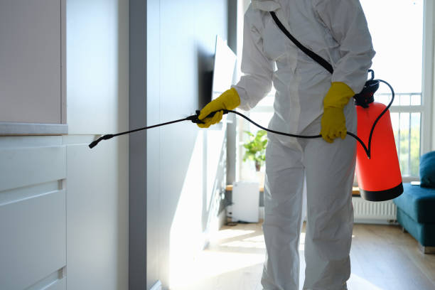 Best Affordable Mold Removal  in St Stephens, NC
