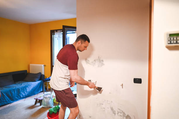 Best Local Mold Removal Service  in St Stephens, NC