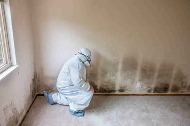 Best Mold Testing  in St Stephens, NC