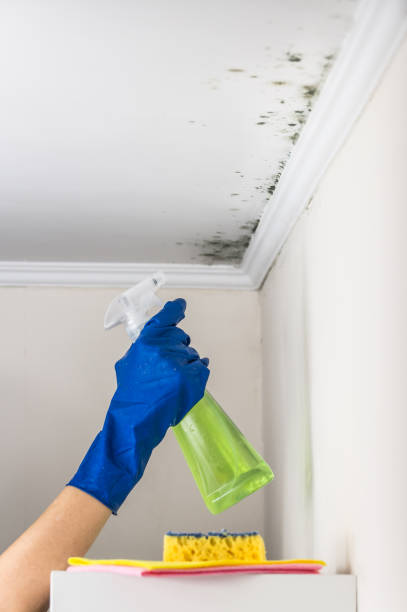 Best Mold Testing  in St Stephens, NC